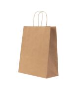 Brown Kraft Paper Carrier Bag with Twisted Handles 18×24×8 cm