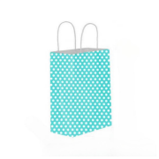 Blue Polka Dot Kraft Paper Bag with Twisted Handle 20x22x10cm