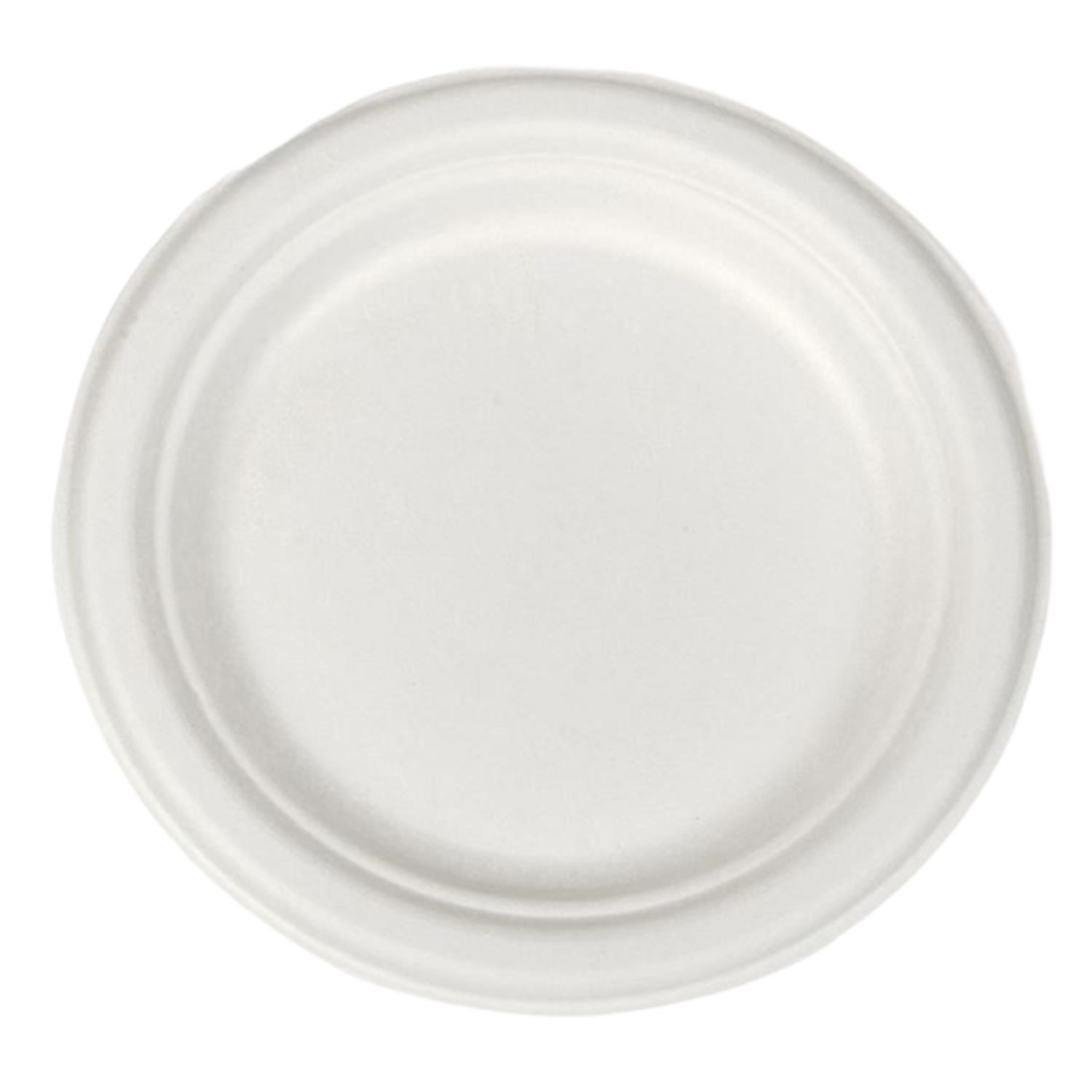 22cm Eco Paper Plates Biodegradable Compostable Disposable Pack of 50