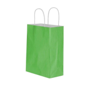 Green Kraft Paper Bag 25x31x12cm with Twisted Handles